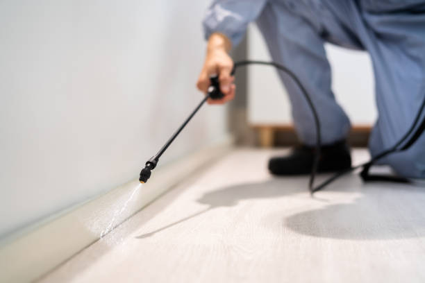 Certified termite inspector examining foundation in Grapevine